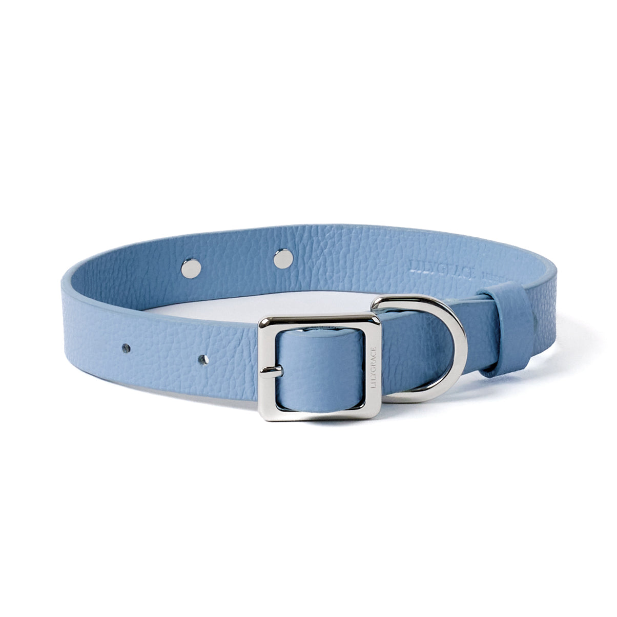 Airlie blue, blue, premium leather collar with precision buckle and keeper
