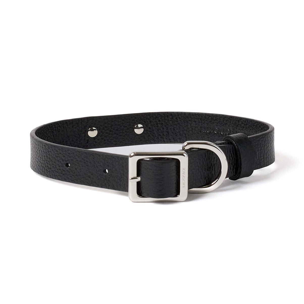 Tuxedo Black, black, premium leather collar with precision buckle and keeper