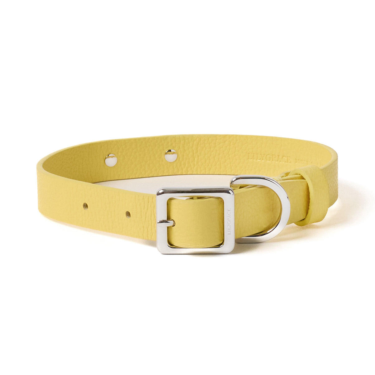 Lemon yellow, yellow, premium leather collar with precision buckle and keeper