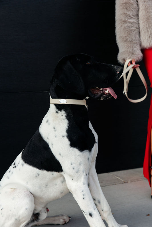 Signature Leather Collar - Cashmere Cream