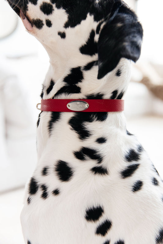 Signature Leather Collar - Maranello Red