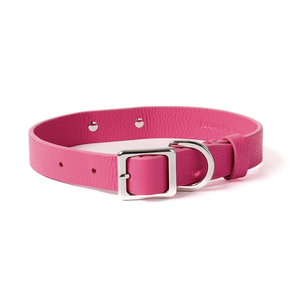 Rose Petal pink, pink, premium leather collar with precision buckle and keeper