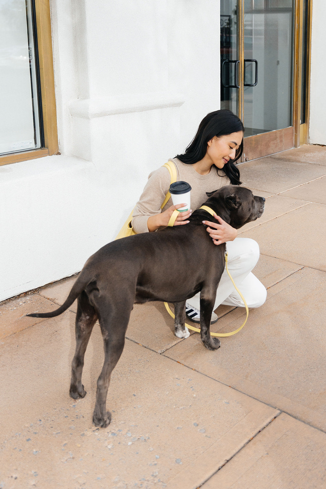 Dog Etiquette for City Life: A Stylish Owner’s Guide | Lily Grace Co.