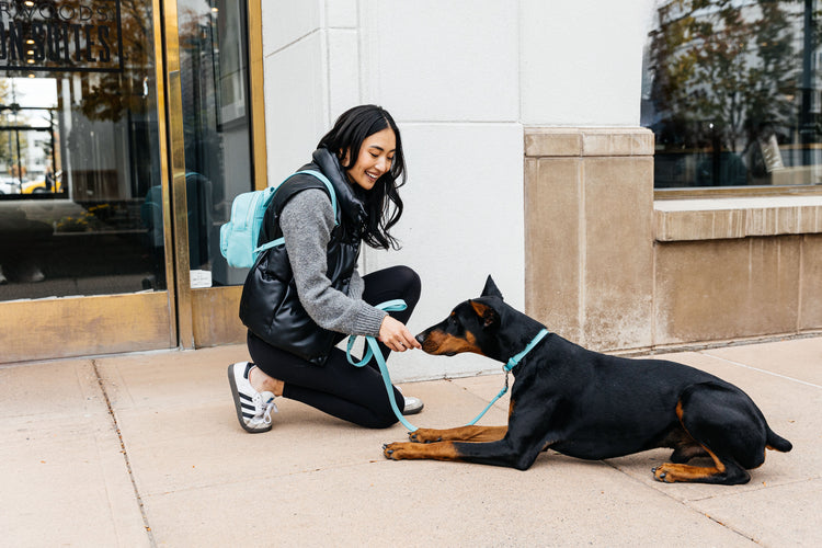 Woman with Dog on sidewalk Doberman wears Luxury Leather Collar and Leather Leash in Lily Grace Co. Blue | Woman wears leather back pack in Lily Grace Co. Blue | Lily Grace Co.