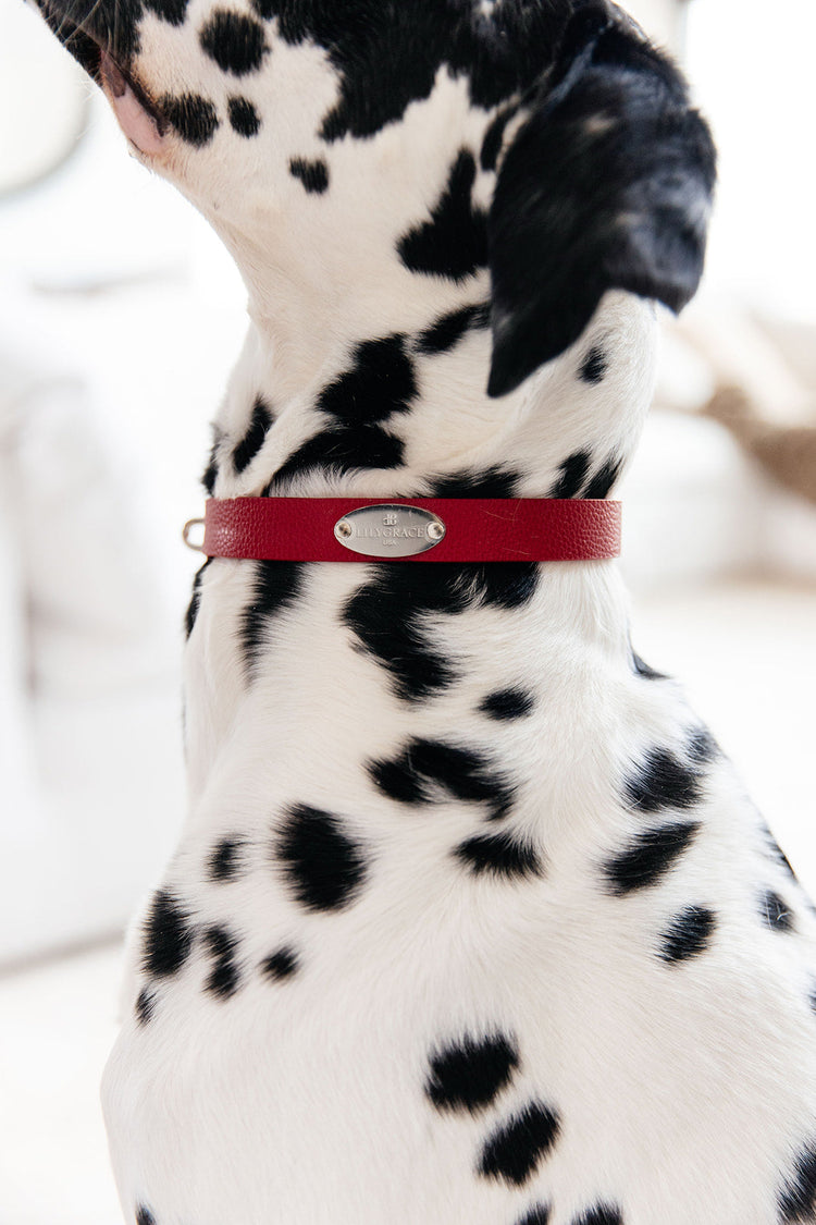 Collars