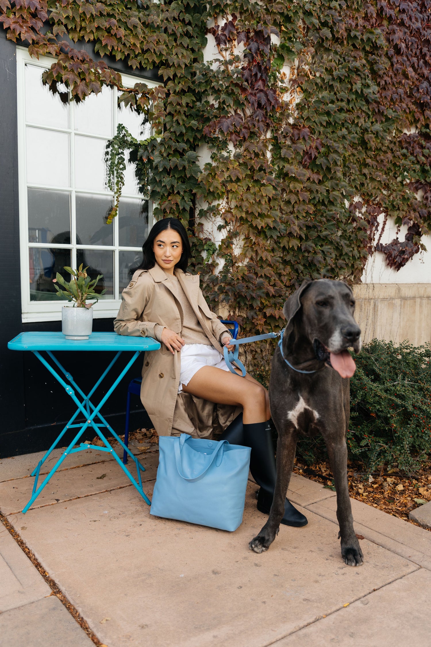 Luxury Leather Pet accessories with matching Premium Leather Lifestyle Accessories by Lily Grace Co. | Designer Leather Accessories for Pets and People