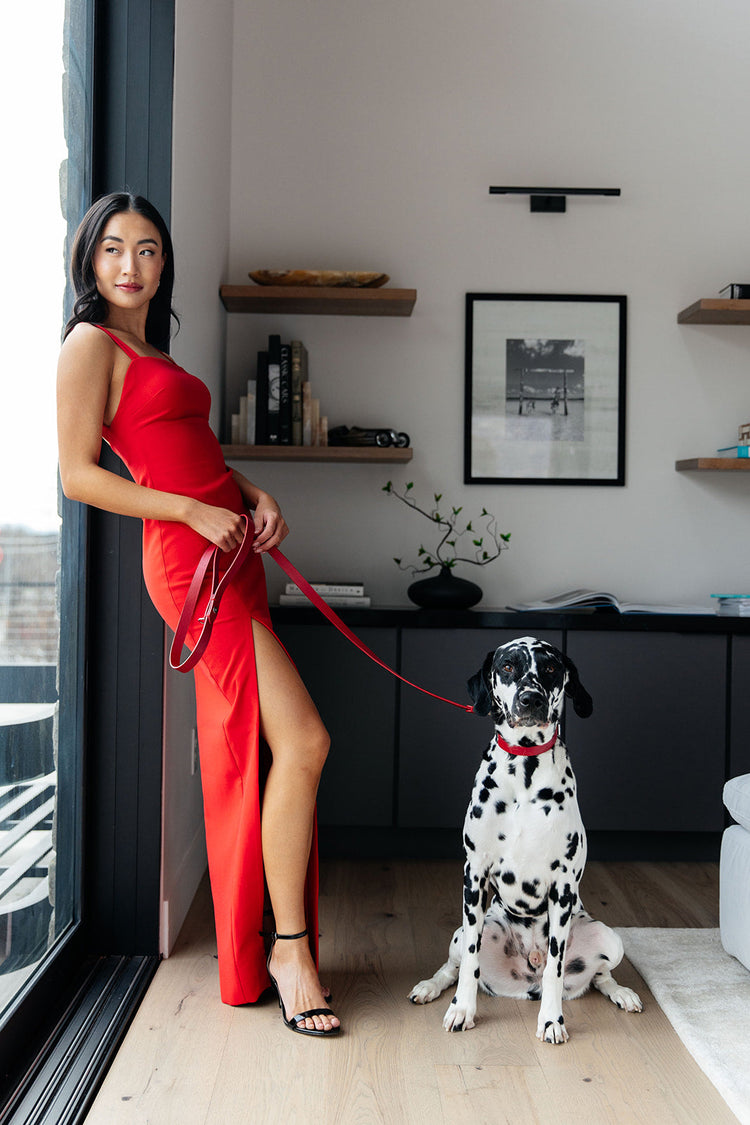 Lily Grace Co. Maranello Red Leather Leash, Leather Collar, Woman in red dress with dog