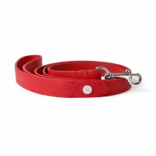 Red Dog Leash with silver Clip | Lily Grace Co Leather Leash in Maranello Red