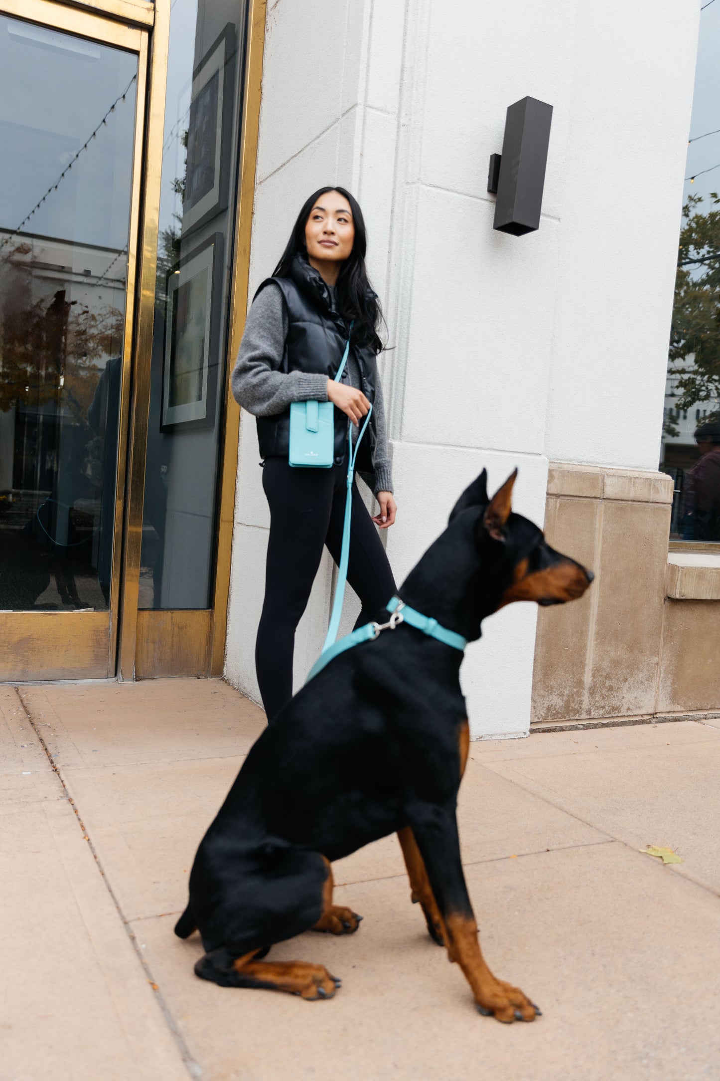 Leather Collar - Lily Grace Blue