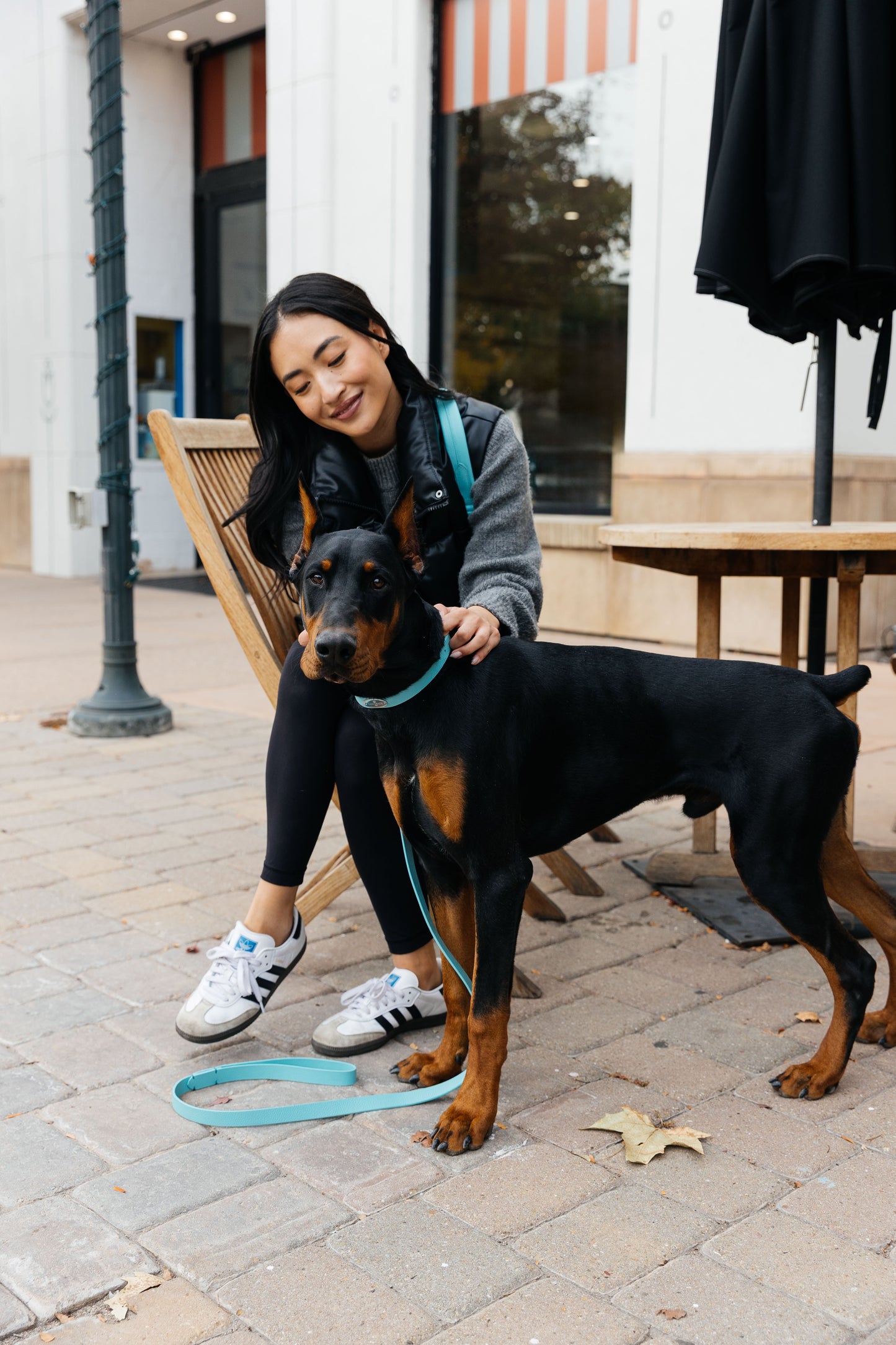 Leather Collar - Lily Grace Blue