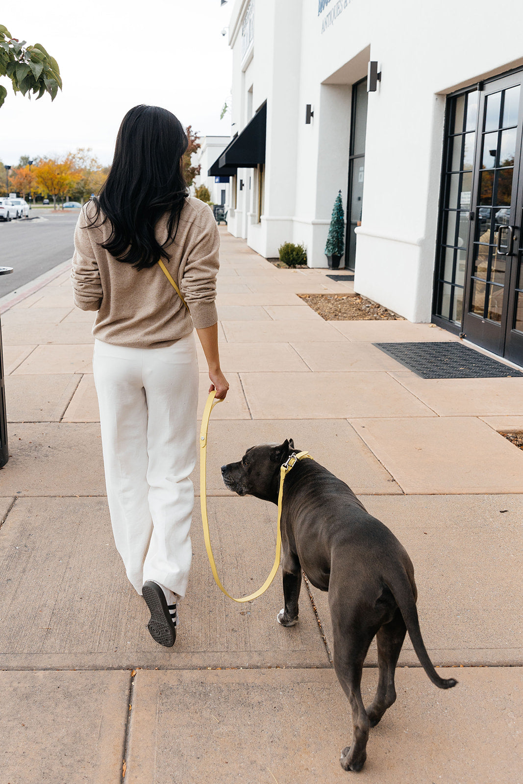 Leather Leash - Lemon Yellow