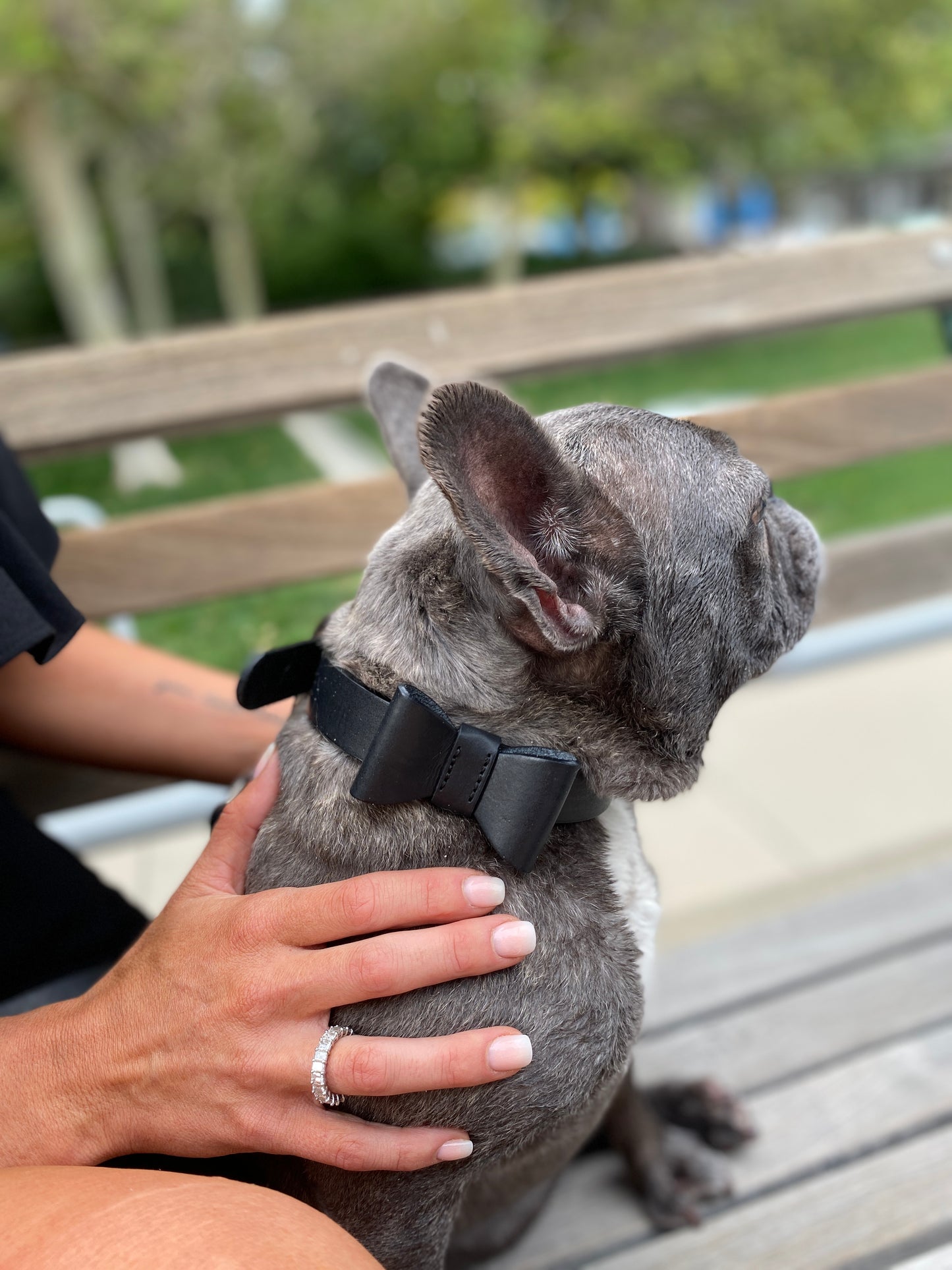 Tuxedo Black Leash