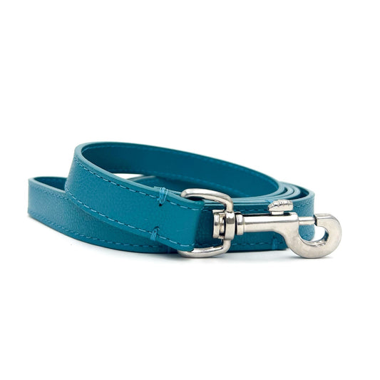 Teal Blue Leash