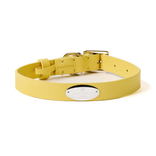 Lemon yellow, yellow, premium leather collar with precision buckle and keeper