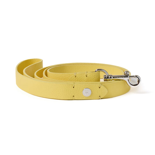 Lemon Yellow, yellow, premium leather dog leash with polished hardware