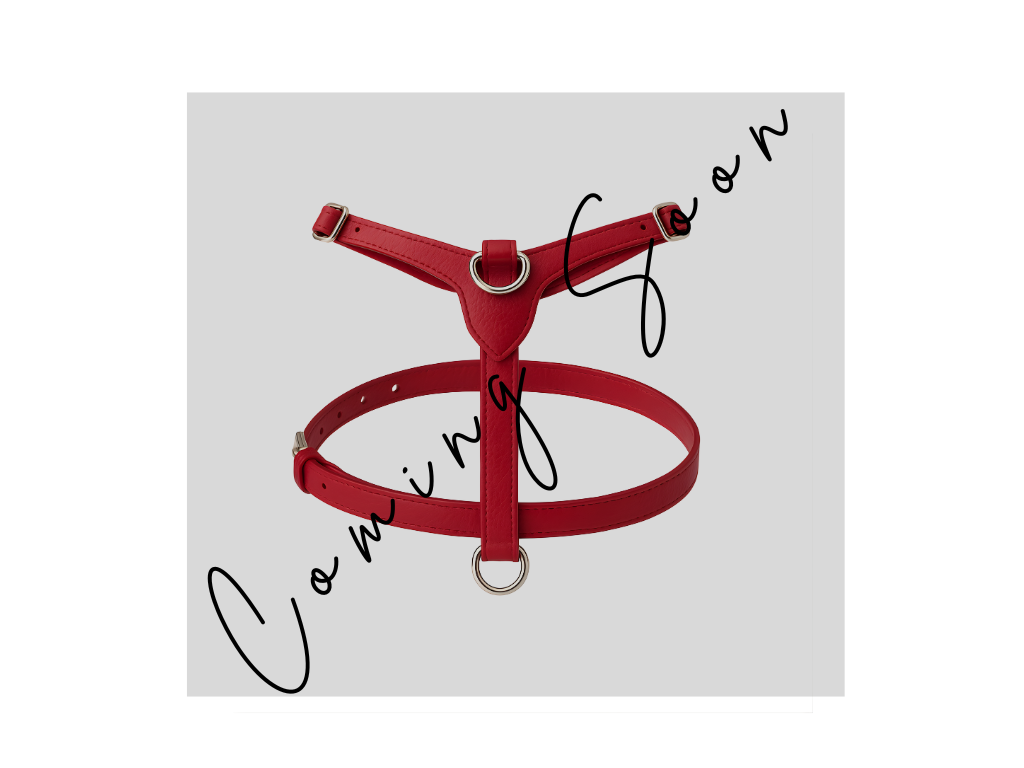 Leather Harness - Maranello Red