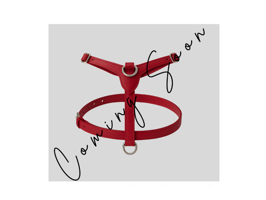 Leather Harness - Maranello Red