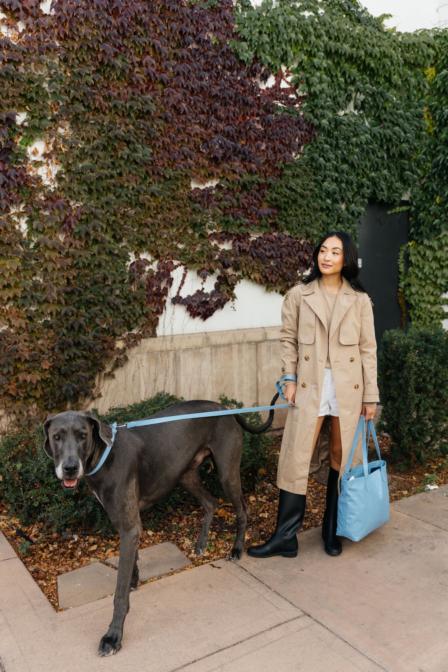 Leather Leash - Airlie Blue