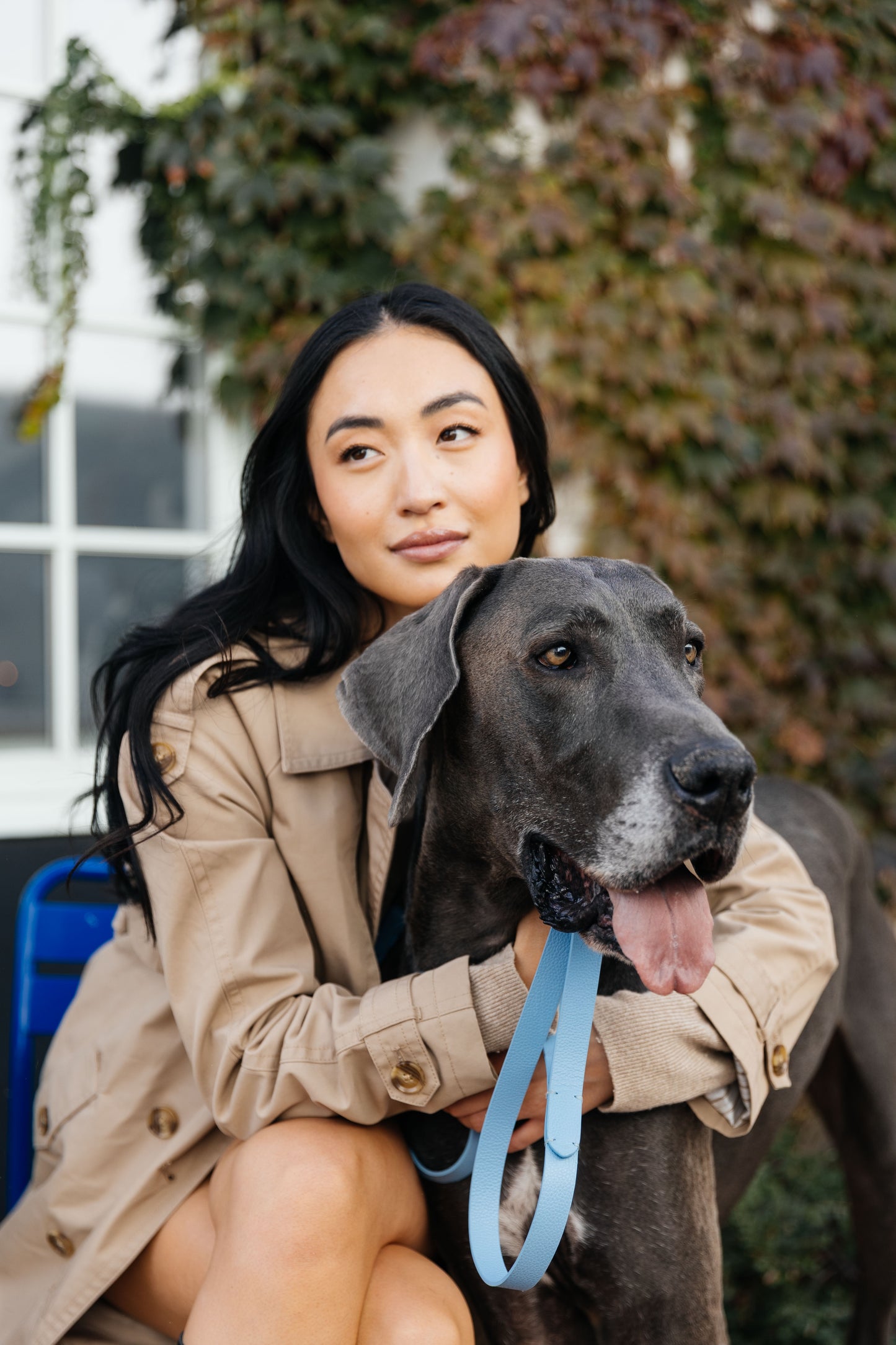 Leather Collar - Airlie Blue