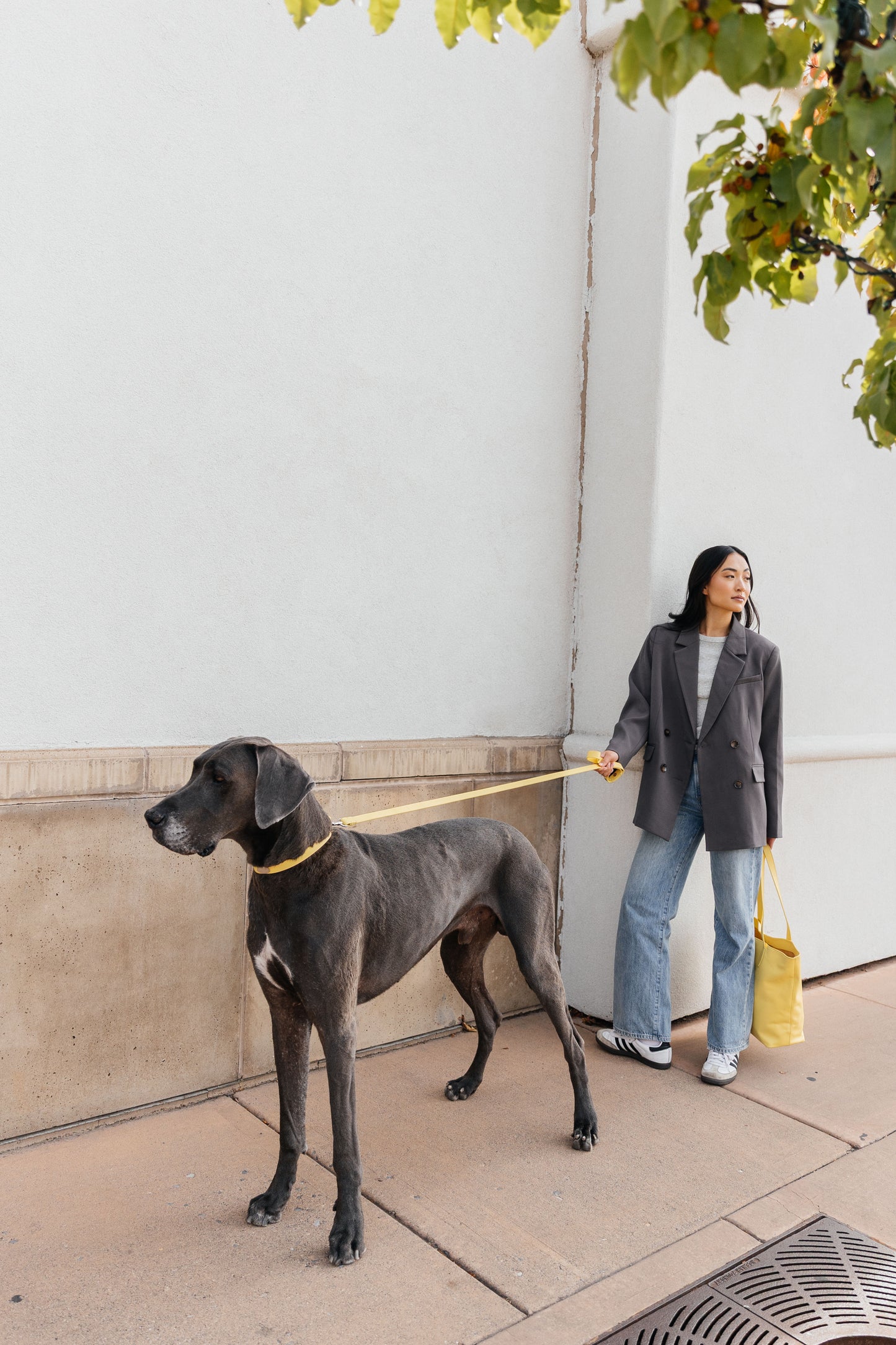 Leather Leash - Lemon Yellow