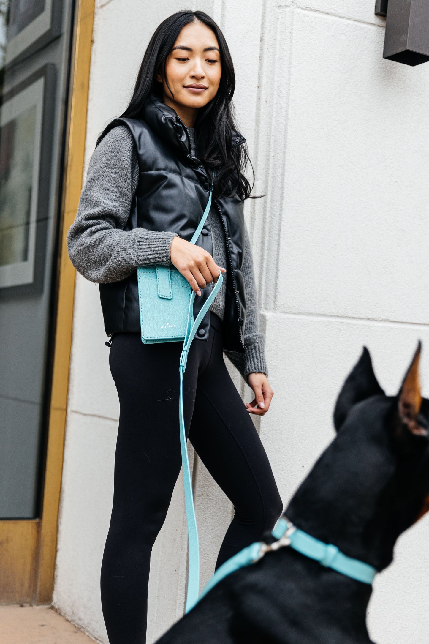 Leather Leash - Lily Grace Blue