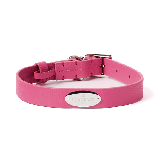 Rose Petal pink, pink, premium leather collar with precision buckle and keeper